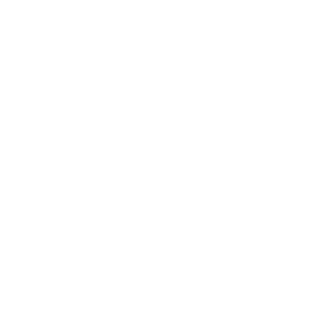 Logo RTSV
